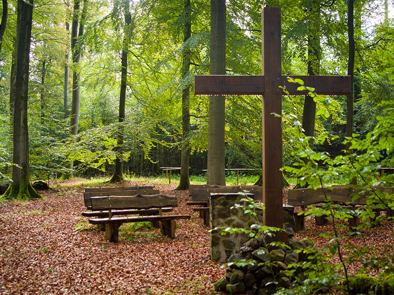 Andachtsplatz einer Beerdigung im Bestattungswald