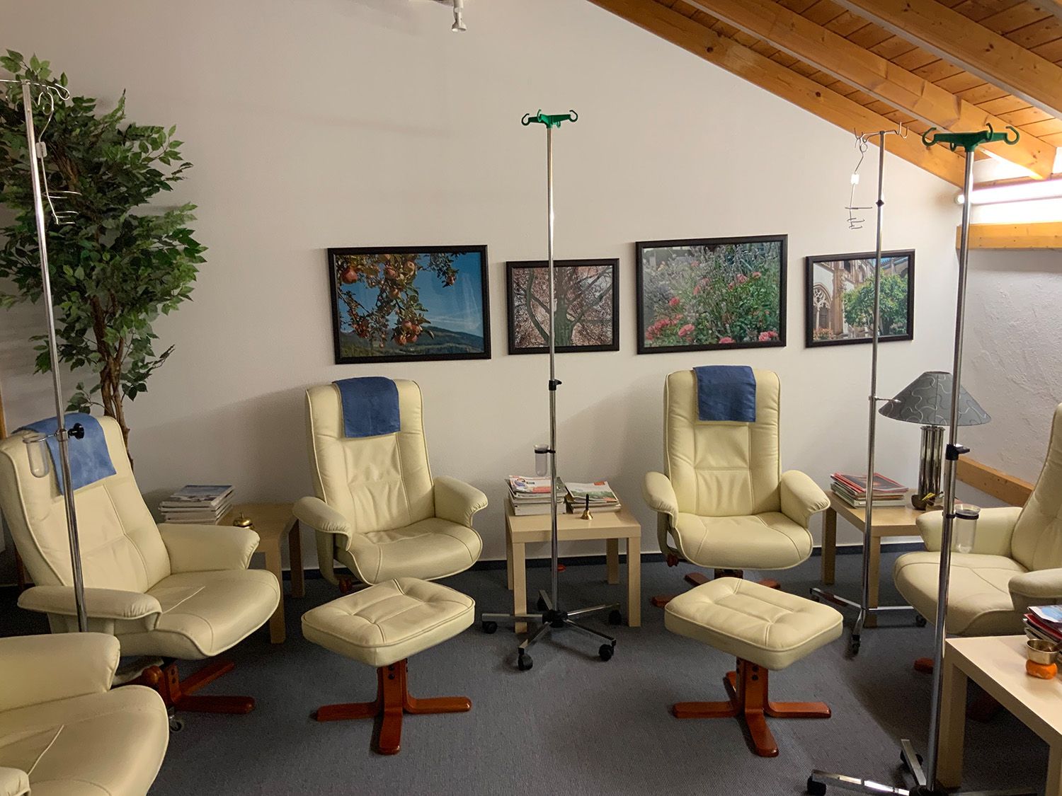 Praxis Dr. Seeßle in Frankfurt mit Schwerpunkt Schmerztherapie, moderner Ausstattung und freundlicher Atmosphäre